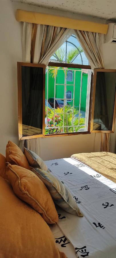 Bella Suite Frente Al Aeropuerto Catia La Mar エクステリア 写真